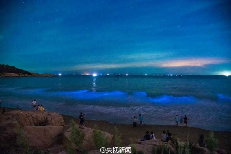 篮球全明星赛2