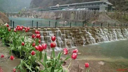 妙鸭相机app下载官网